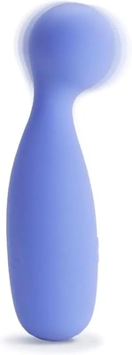 I love my PlusOne wand; it's body-safe, waterproof, powerful, and replaced quickly.